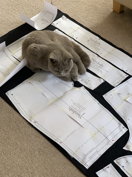 Stitch and bitch thread #3 Sewing is harder than it seams