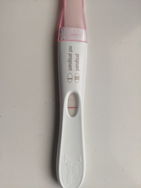 Toot toot, it's the July 2021 TTC Bus arriving early