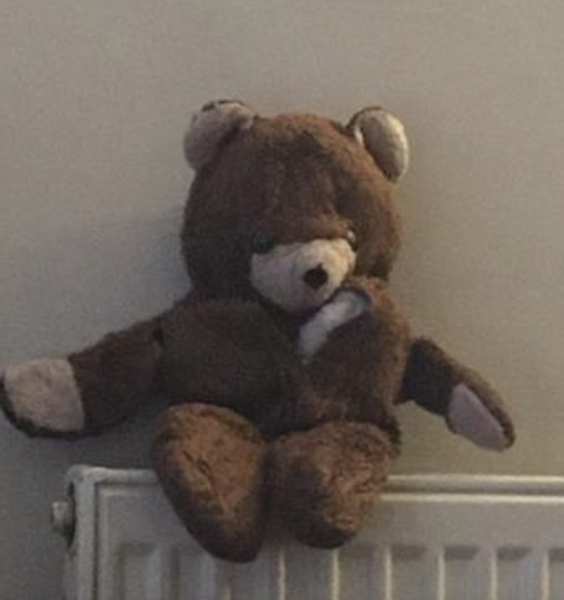 AIBU to be heartbroken the cleaner ruined my platypus?