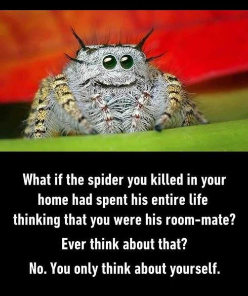 To never sleep again after this??