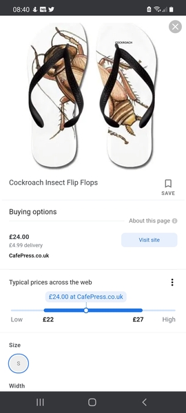 Cockroach Cafe - newly refurbished for the summer
