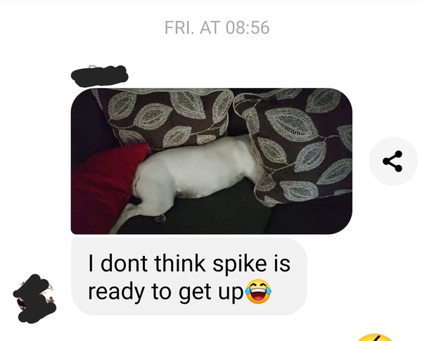 Taking himself to bed