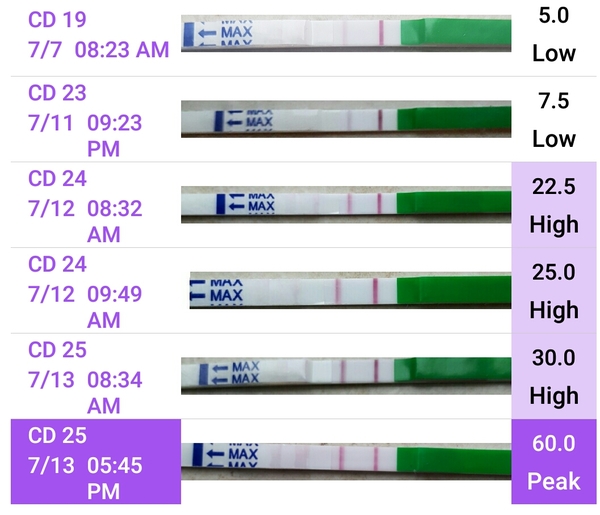 1 DPO Anyone want to wait with me?