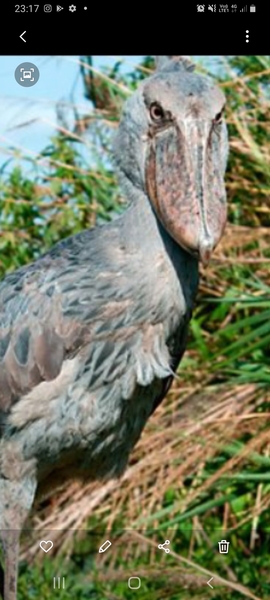 I look so old! What to do about my eyes?