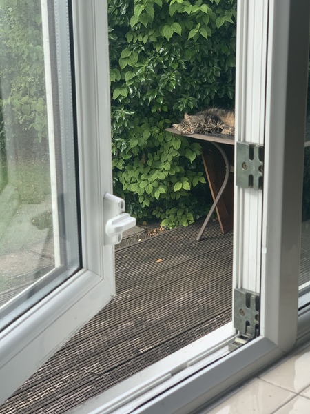 What's your DCat up to today? (Thread 8)