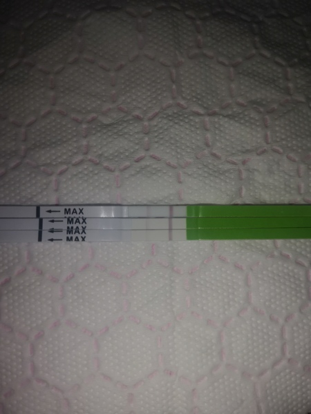 Trying for baby number 3