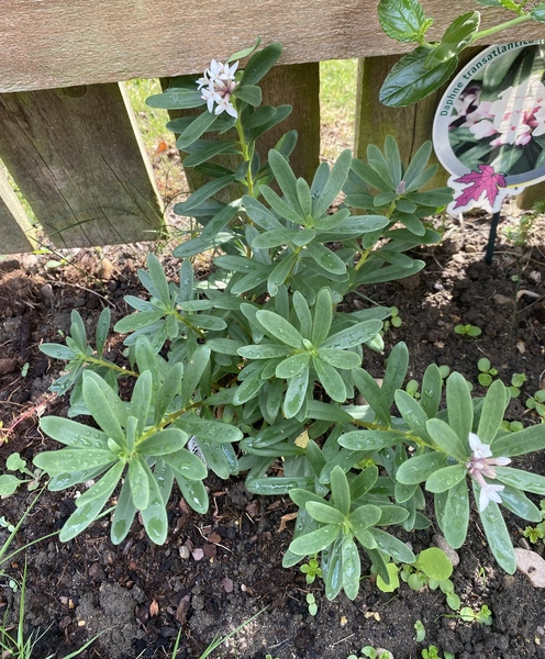 Come and tell me your dull and unexciting news 16: Calmly through the day