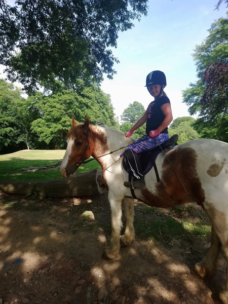 To wonder how the hell horses stand up