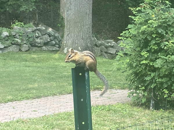 Come and tell me your dull and unexciting news 16: Calmly through the day