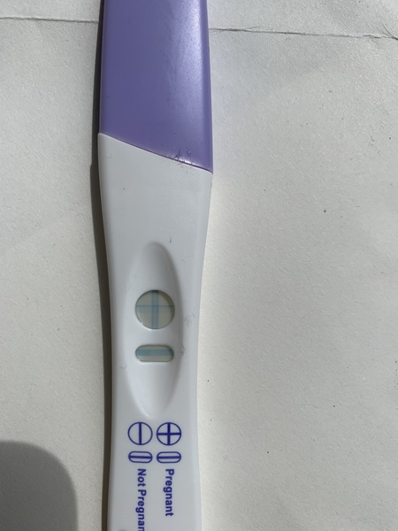 Is this an Evap? Or BFP?