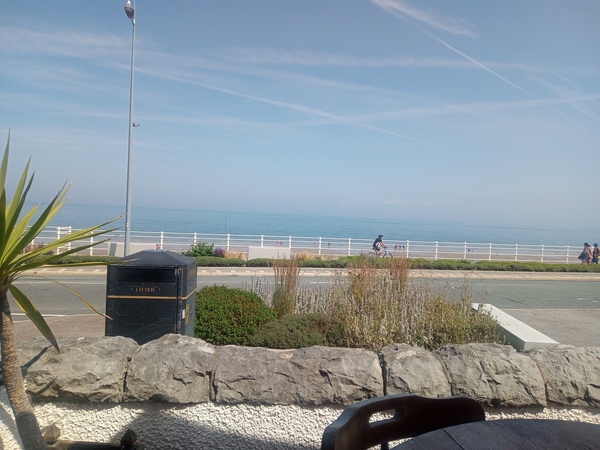 ADs don't want your freedom, ADs don't want to play around