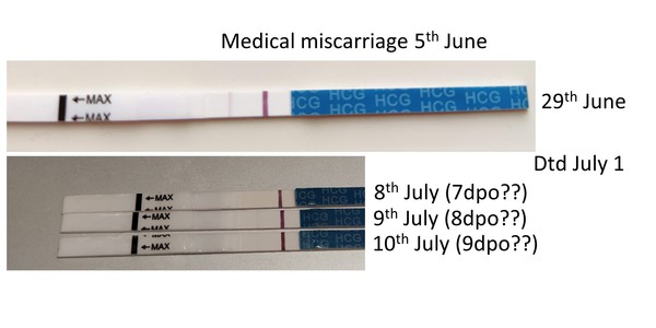 Pregnant again? Or lingering hcg?
