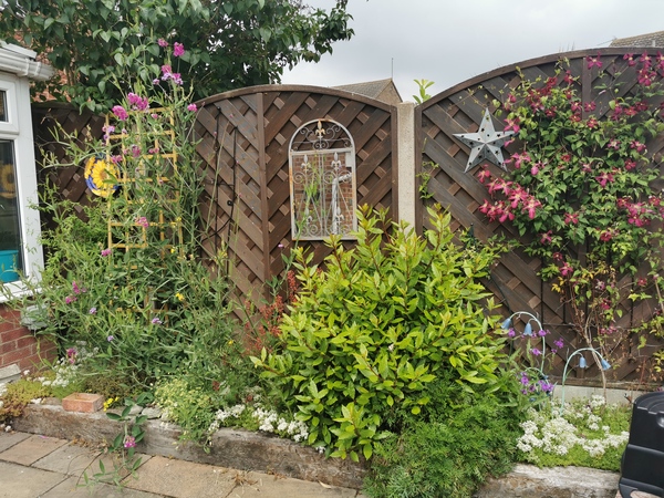 Any Witches Here? Part 14.