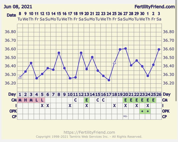 🧙Witch day did I ovulate?!🧙