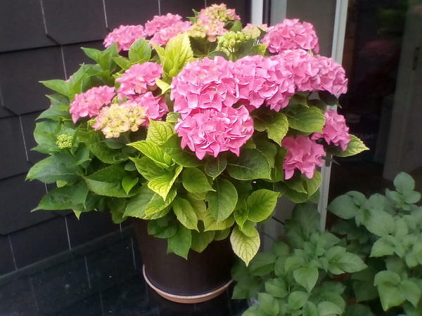 Come and tell me your dull and unexciting news 16: Calmly through the day