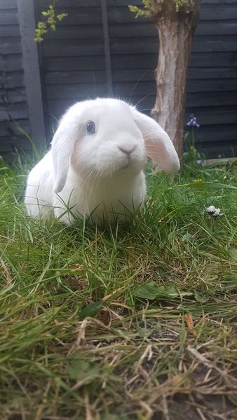 Any Witches Here? Part 14.