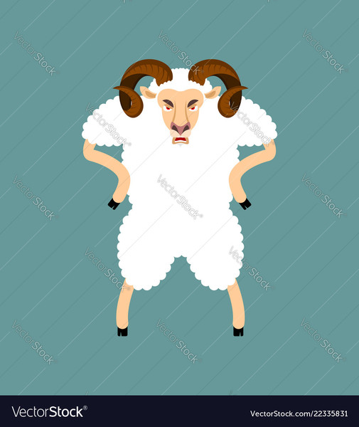 To think people crying ‘Freedom’ today are stupid sheep…
