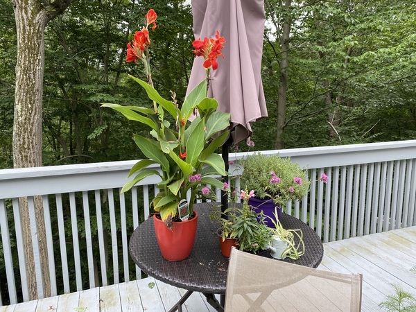 Come and tell me your dull and unexciting news 16: Calmly through the day