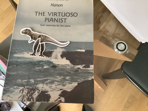 Does anyone fancy a piano chat thread?