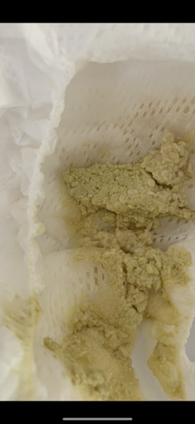 Pale poo *pic included*