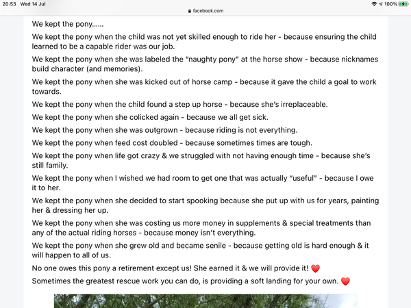 To not understand how people can treat horses like cars?