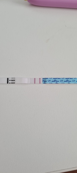 Toot toot, it's the July 2021 TTC Bus arriving early