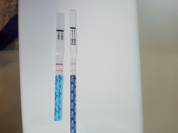 Toot toot, it's the July 2021 TTC Bus arriving early