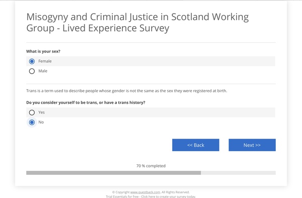 Misogyny and Criminal Justice in Scotland Working Group - Lived Experience Survey