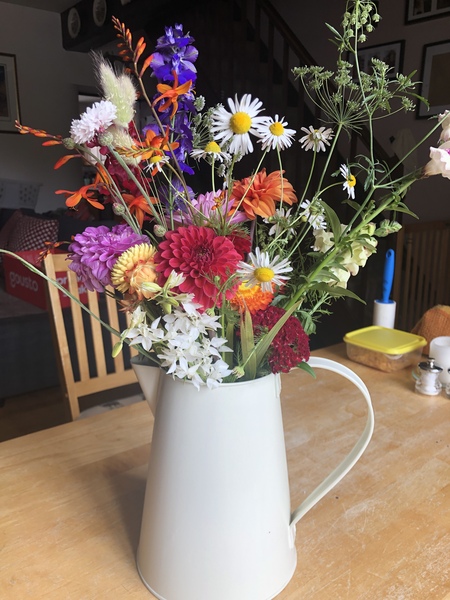 Come and tell me your dull and unexciting news 16: Calmly through the day