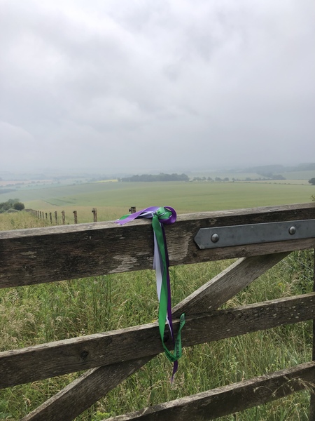 Suffragette ribbon in the wild