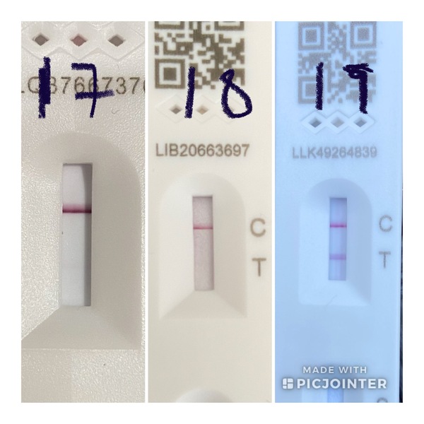 If a school child tests positive on a LFT who (school related) solates?