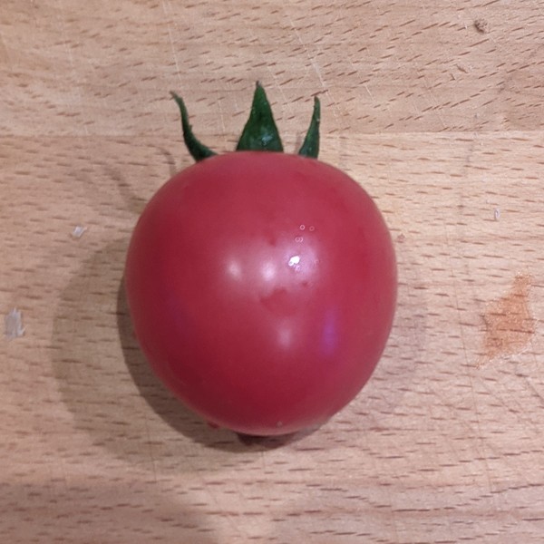 Allotment/Veg patch Thread 17 - onwards and upwards
