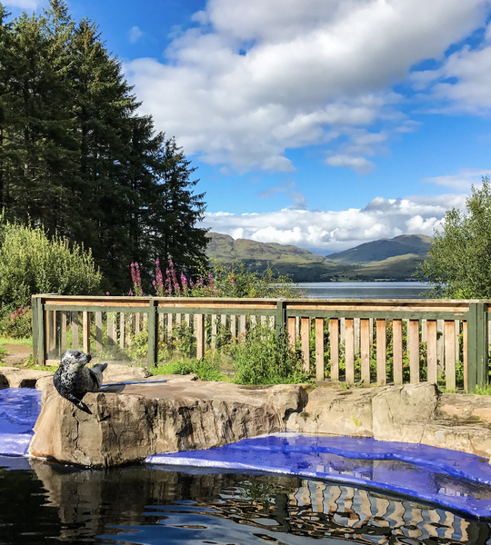 Days out from Fort William with kids