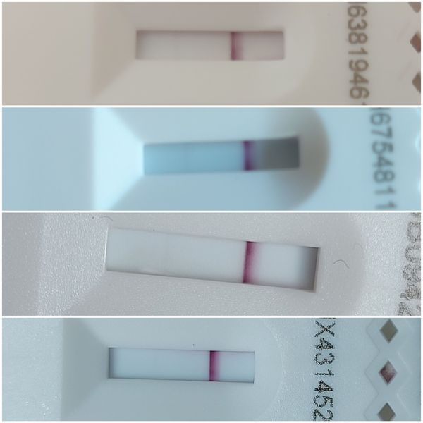 Multiple positive LFTs, negative PCR
