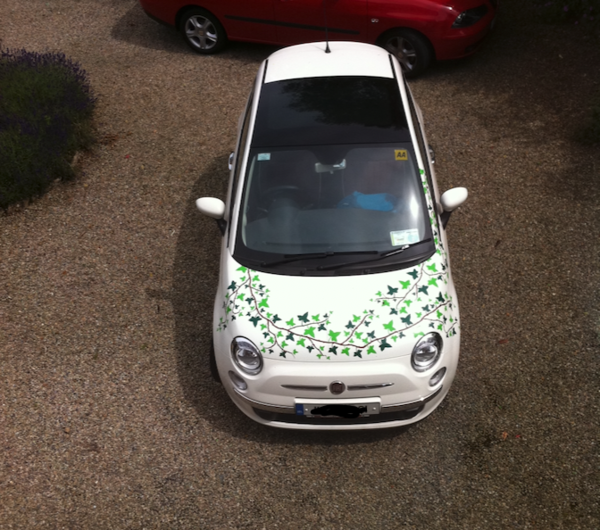 Why do people put these stickers on their car?