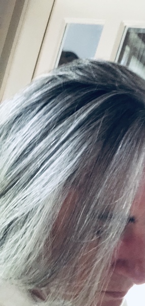 Should I just seize the opportunity to go grey?