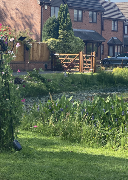 Electric driveway gates - cost & visitor access