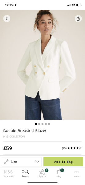 If you were going to buy one boyfriend blazer...
