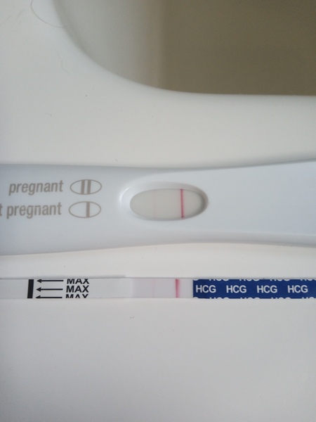 Toot toot, it's the July 2021 TTC Bus arriving early