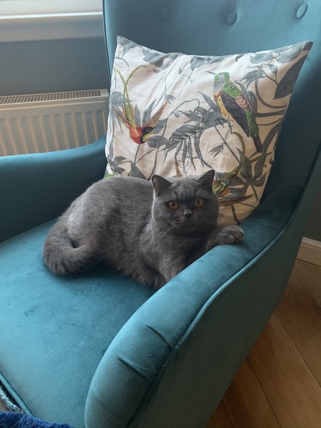 Stitch and bitch thread #3 Sewing is harder than it seams