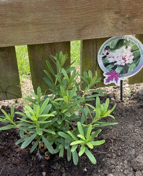 Come and tell me your dull and unexciting news 16: Calmly through the day