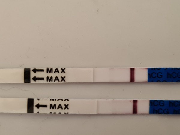 Toot toot, it's the July 2021 TTC Bus arriving early