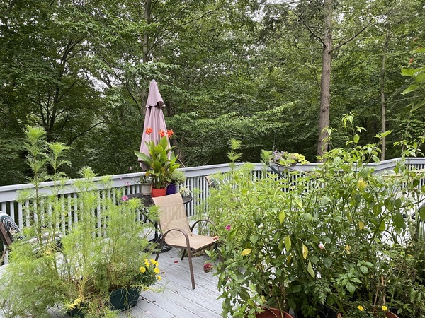 Come and tell me your dull and unexciting news 16: Calmly through the day