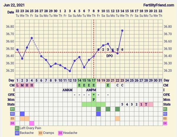 9DPO Symptom Spotting