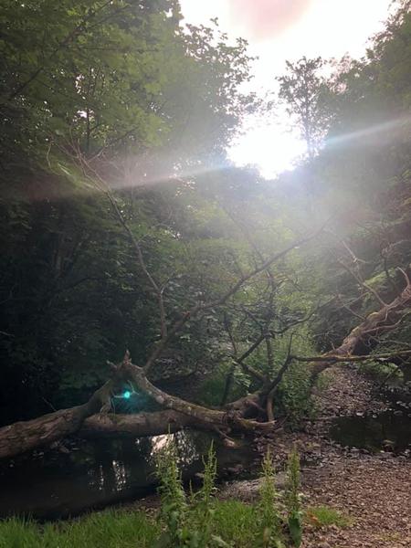 Any Witches Here? Part 14.