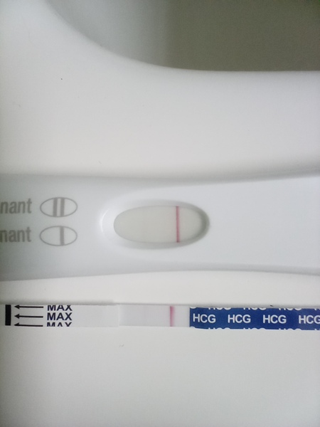 Toot toot, it's the July 2021 TTC Bus arriving early