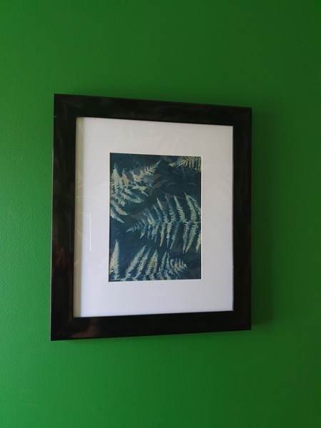 Has anyone done cyanotype?