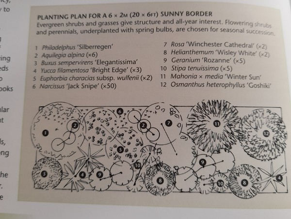 Confused re border plan