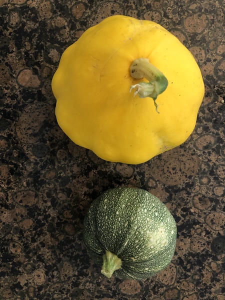 Squash help needed!