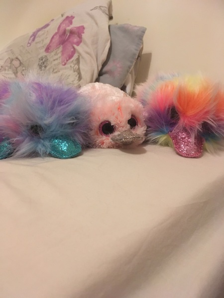 AIBU to be heartbroken the cleaner ruined my platypus?